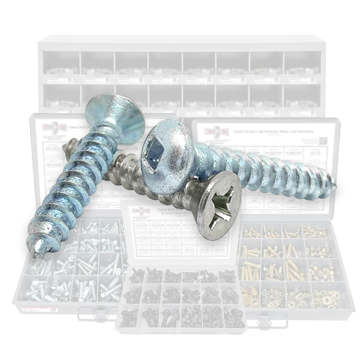 Bagged Self Tapping Screws