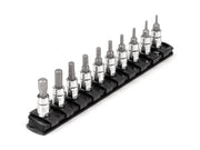 1/4 in Drive Hex Bit Socket Set with Rail, 10-Piece (5/64 - 5/16 in.)