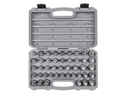 1/2 Inch Drive Hex, Torx, TR Triple Square, Phillips, Slotted Bit Socket Set with Case (44-Piece)